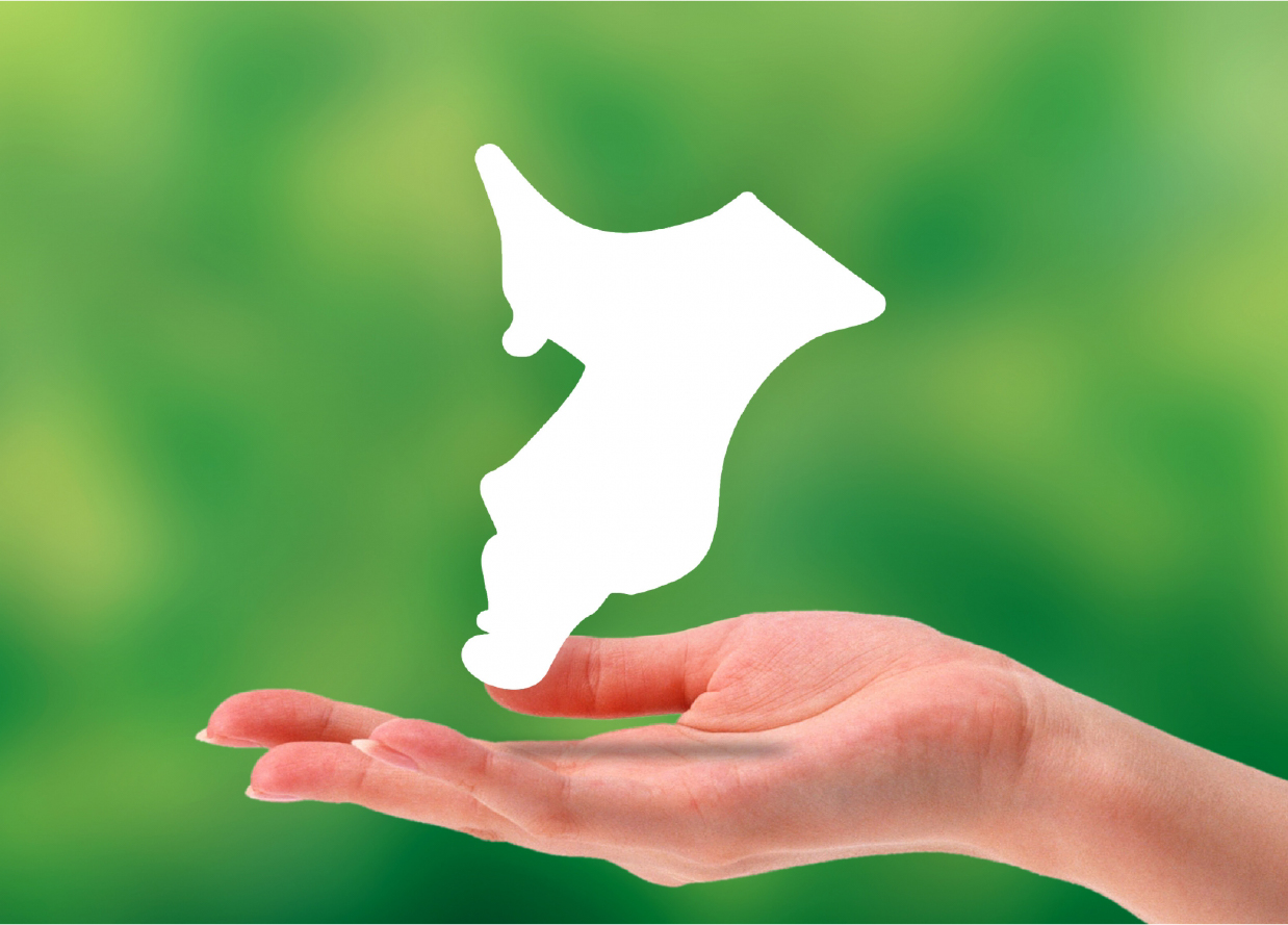 手のひらに千葉県のシルエット